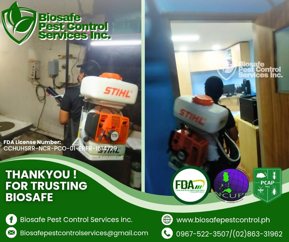 573504666 122154925130852646 1403919918005910265 N