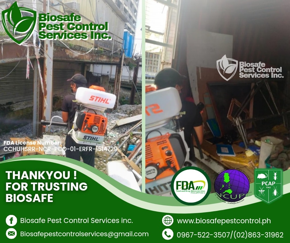 573613299 122154924980852646 3633007875021379381 N