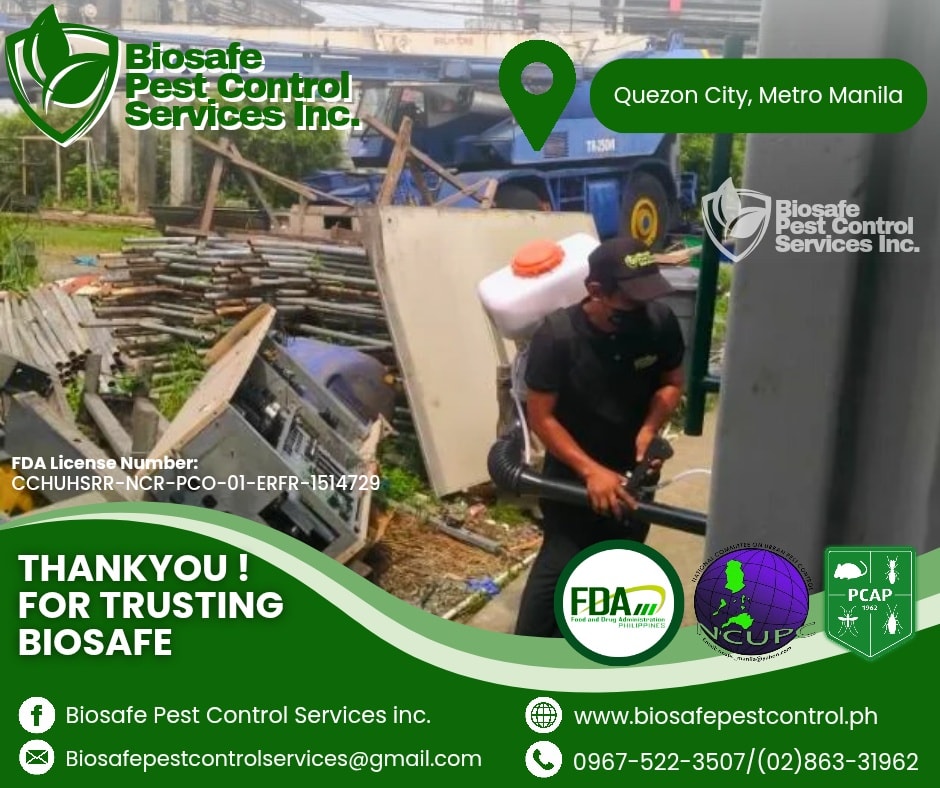 574087467 122154924944852646 5185427035048747449 N