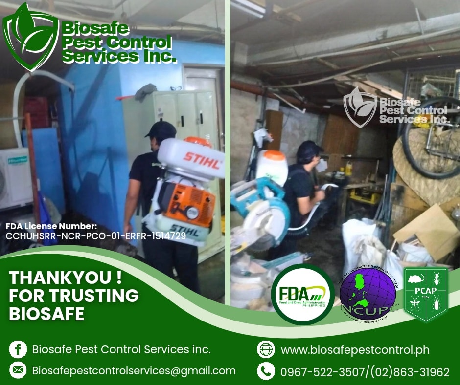 574252773 122154925094852646 814808326767589875 N